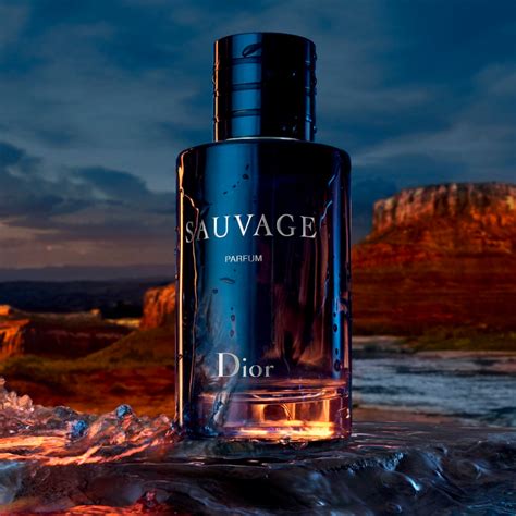 dior sauvage fresco|sauvage dior perfume for men.